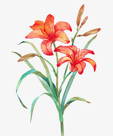 紅色手繪舞蹈插畫 與花卉共舞的藝術語言